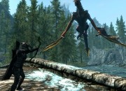 The Elder Scrolls V: Skyrim
