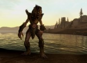 The Elder Scrolls V: Skyrim