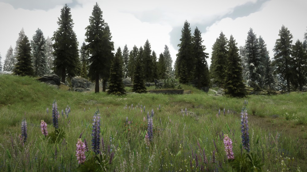The Elder Scrolls V: Skyrim