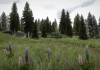 The Elder Scrolls V: Skyrim