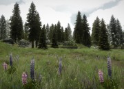 The Elder Scrolls V: Skyrim