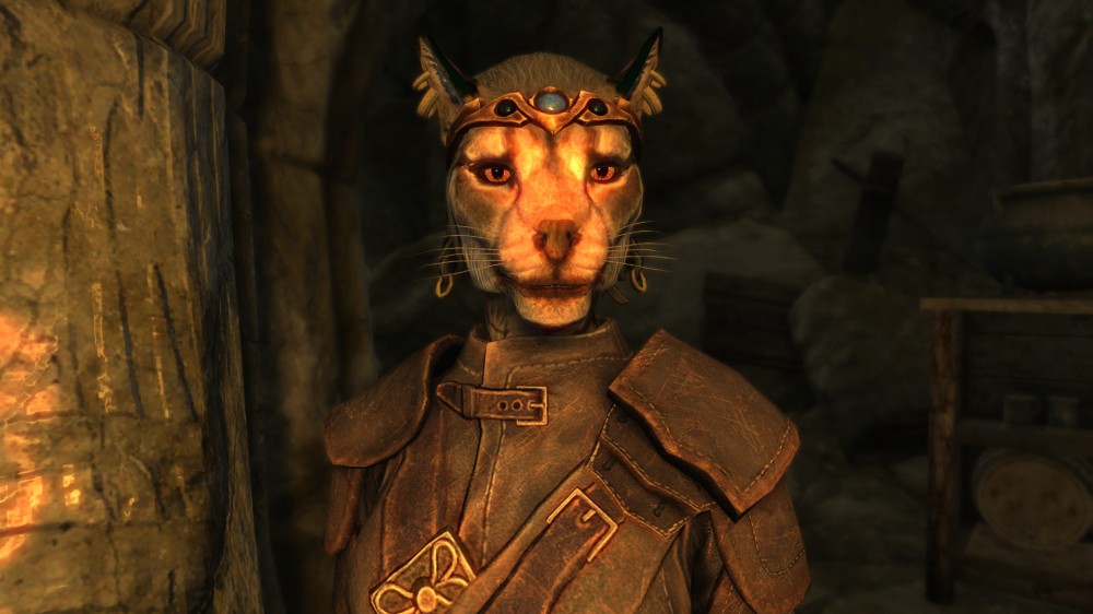 The Elder Scrolls V: Skyrim