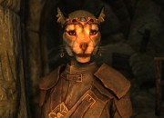 The Elder Scrolls V: Skyrim