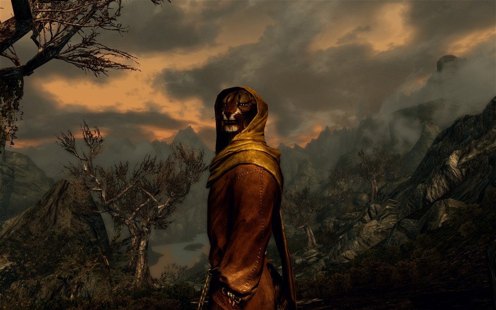 The Elder Scrolls V: Skyrim