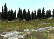 The Elder Scrolls V: Skyrim