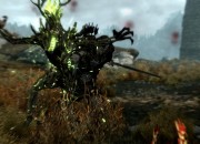 The Elder Scrolls V: Skyrim
