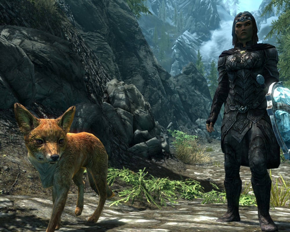 The Elder Scrolls V: Skyrim