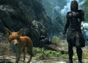 The Elder Scrolls V: Skyrim