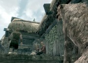 The Elder Scrolls V: Skyrim