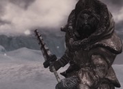 The Elder Scrolls V: Skyrim