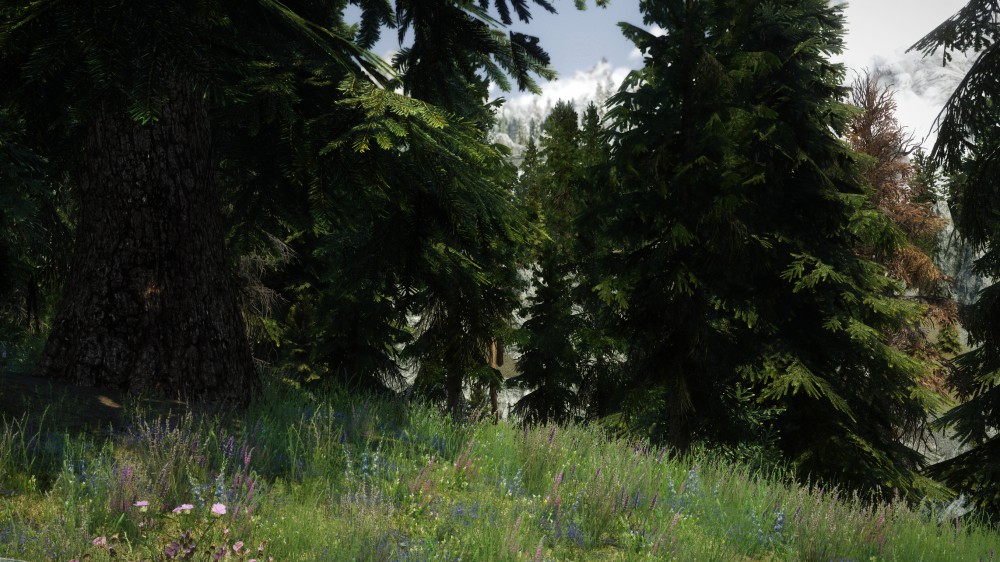 The Elder Scrolls V: Skyrim