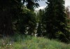 The Elder Scrolls V: Skyrim