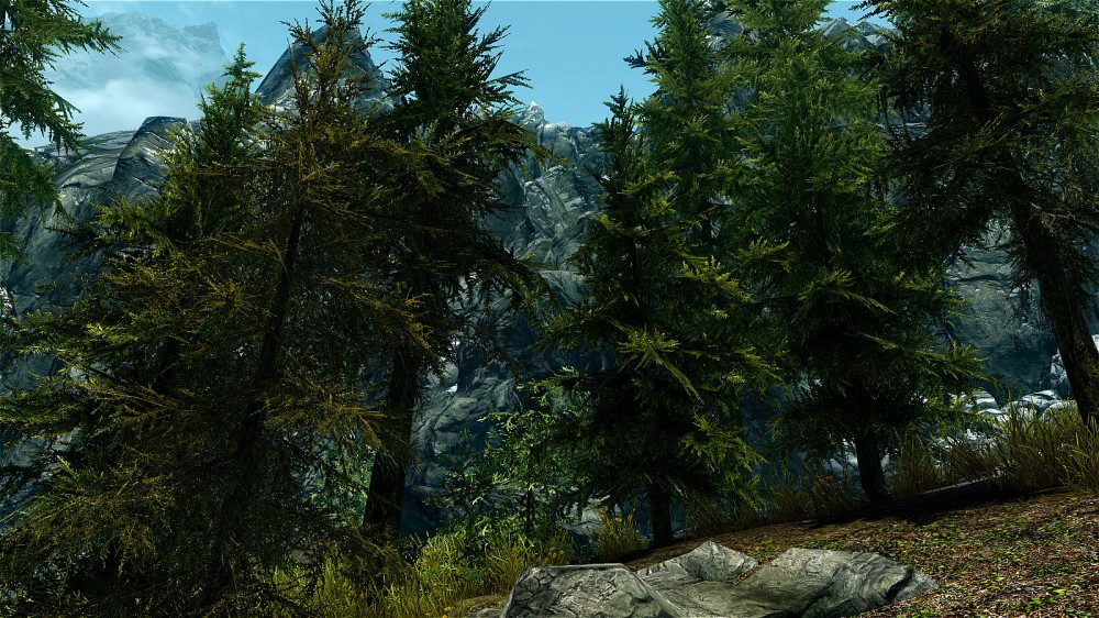 The Elder Scrolls V: Skyrim