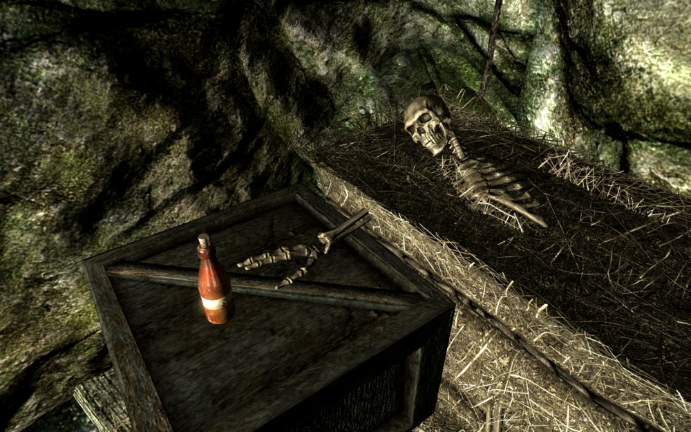 The Elder Scrolls V: Skyrim