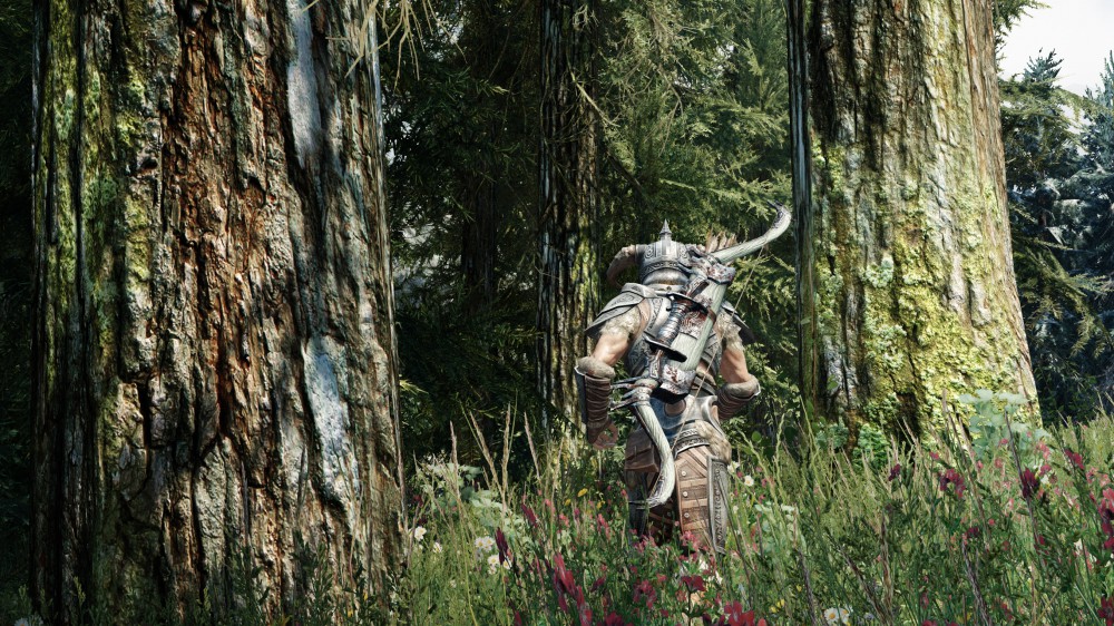 The Elder Scrolls V: Skyrim