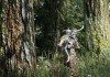 The Elder Scrolls V: Skyrim