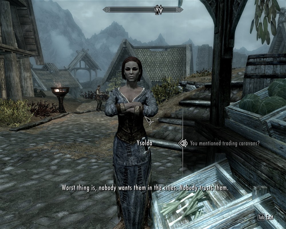 The Elder Scrolls V: Skyrim