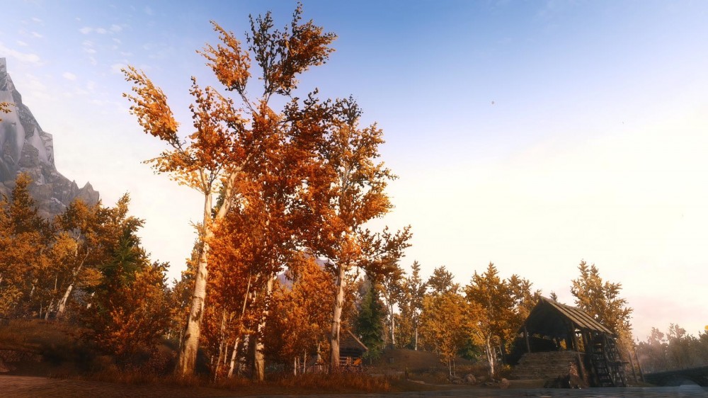 The Elder Scrolls V: Skyrim