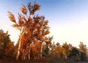 The Elder Scrolls V: Skyrim