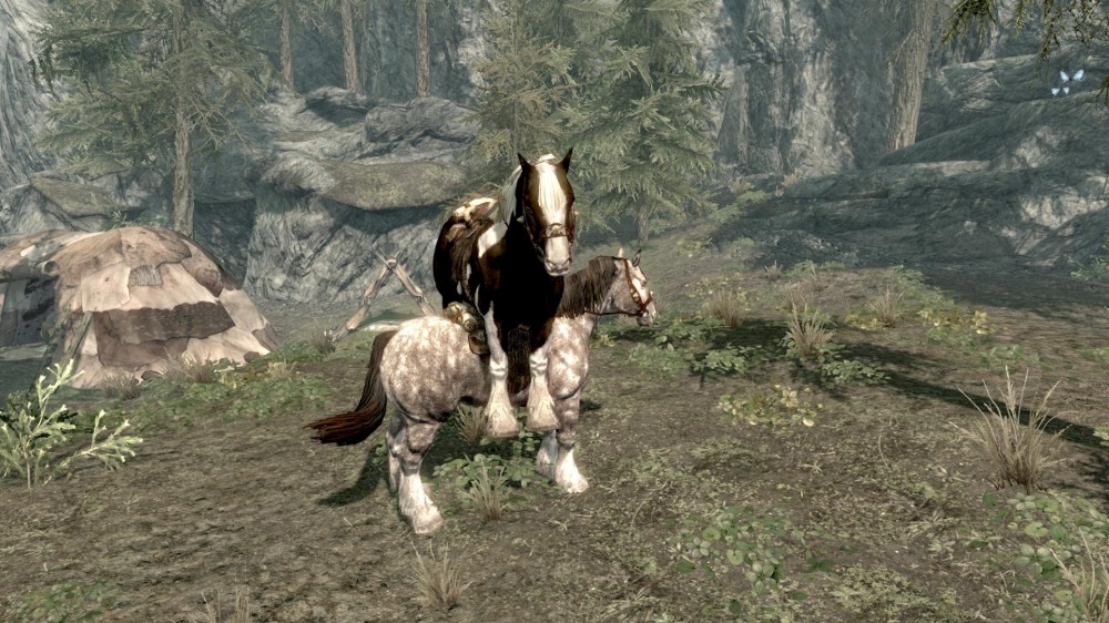 The Elder Scrolls V: Skyrim