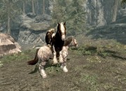 The Elder Scrolls V: Skyrim