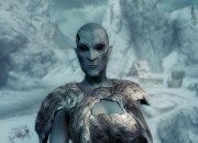 The Elder Scrolls V: Skyrim