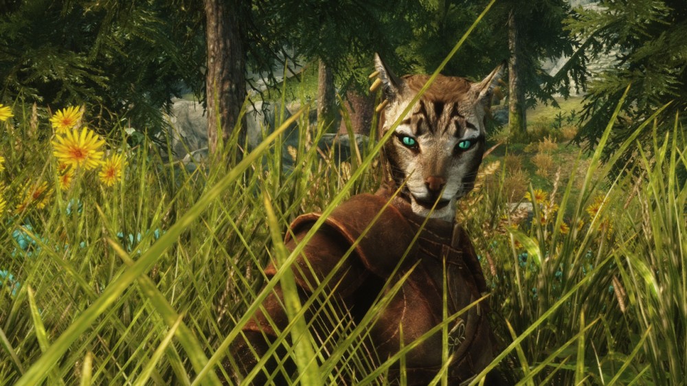 The Elder Scrolls V: Skyrim