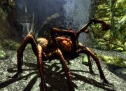 The Elder Scrolls V: Skyrim