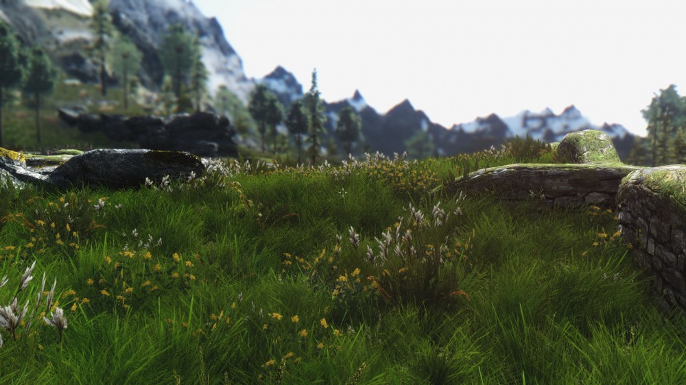 The Elder Scrolls V: Skyrim