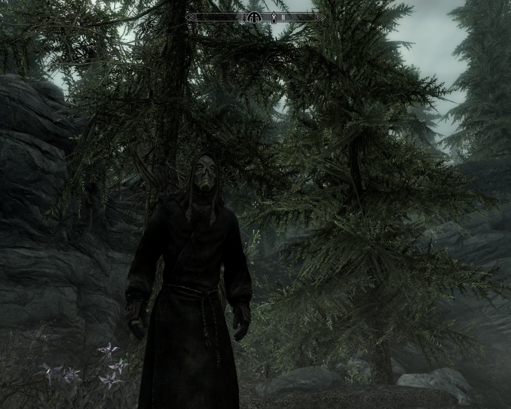The Elder Scrolls V: Skyrim