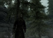 The Elder Scrolls V: Skyrim