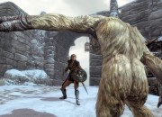 The Elder Scrolls V: Skyrim