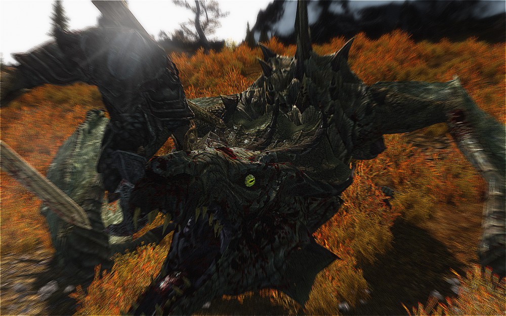 The Elder Scrolls V: Skyrim