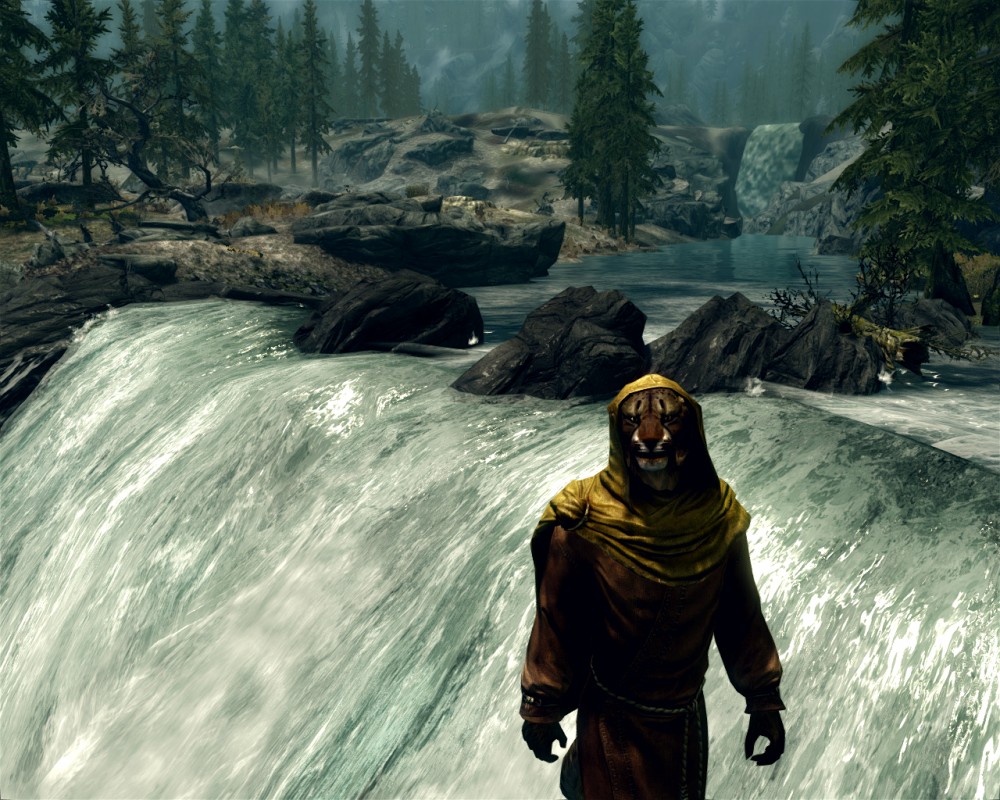 The Elder Scrolls V: Skyrim