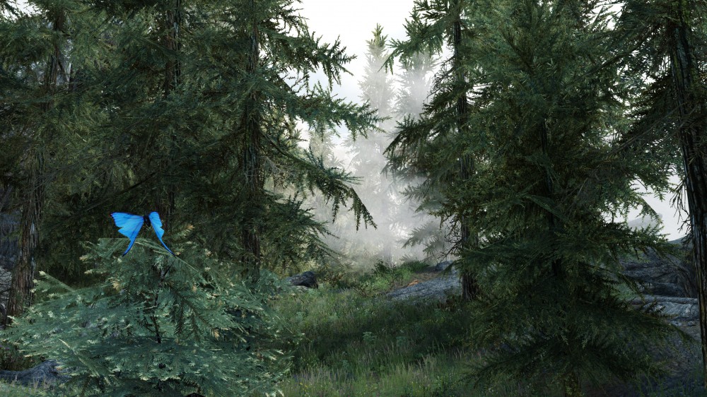 The Elder Scrolls V: Skyrim