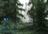 The Elder Scrolls V: Skyrim