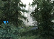The Elder Scrolls V: Skyrim
