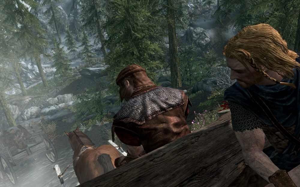 The Elder Scrolls V: Skyrim