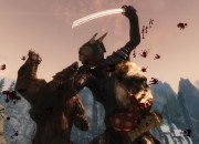 The Elder Scrolls V: Skyrim