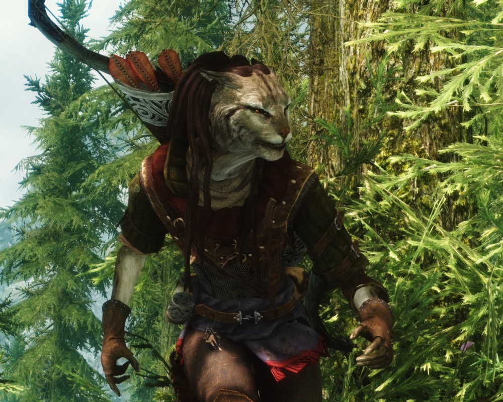 The Elder Scrolls V: Skyrim