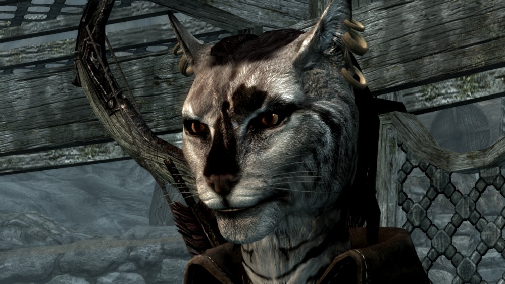The Elder Scrolls V: Skyrim