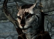 The Elder Scrolls V: Skyrim