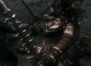 The Elder Scrolls V: Skyrim