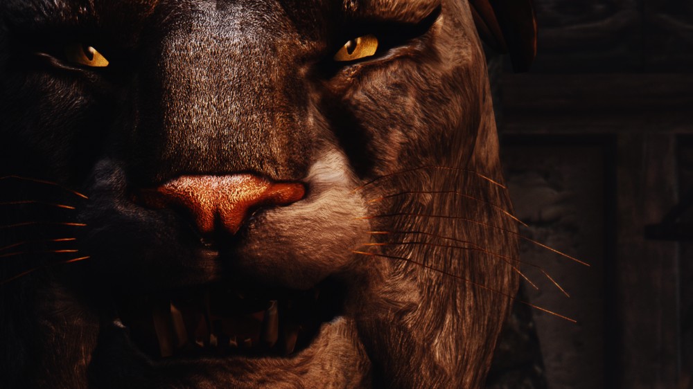 The Elder Scrolls V: Skyrim