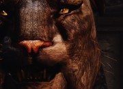 The Elder Scrolls V: Skyrim