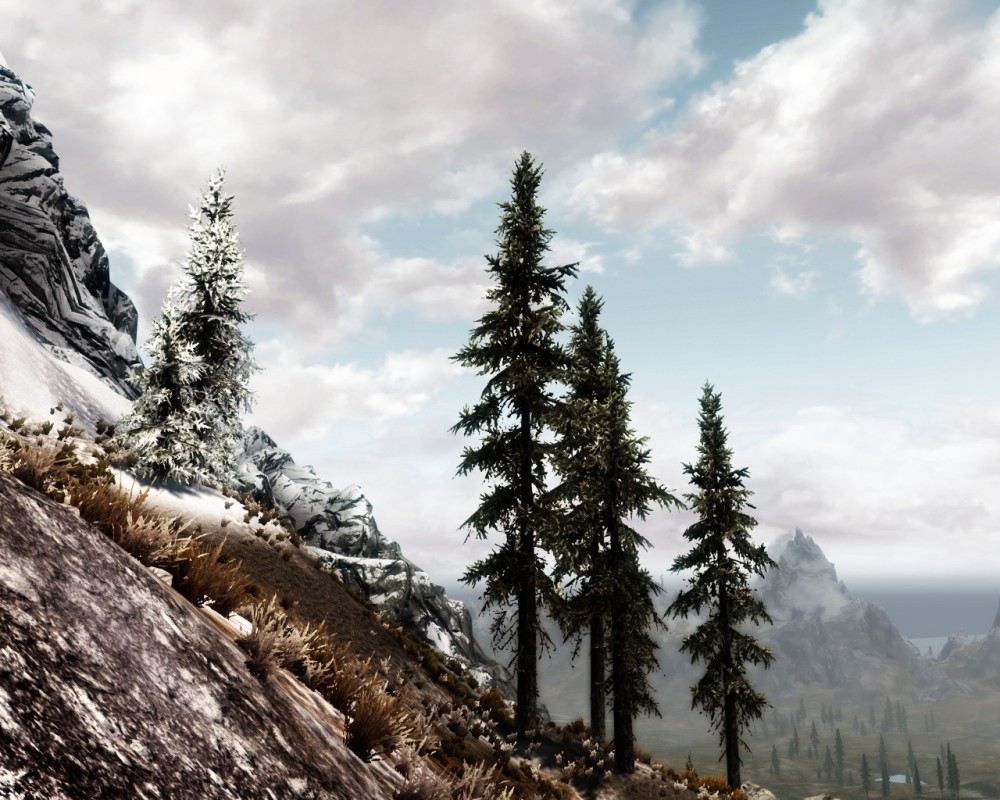 The Elder Scrolls V: Skyrim