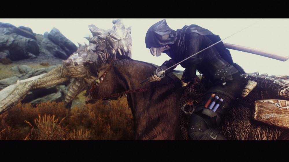 The Elder Scrolls V: Skyrim