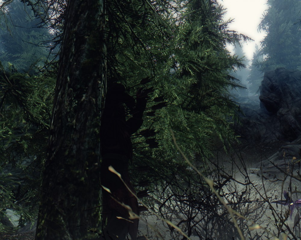 The Elder Scrolls V: Skyrim