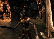 The Elder Scrolls V screenshot