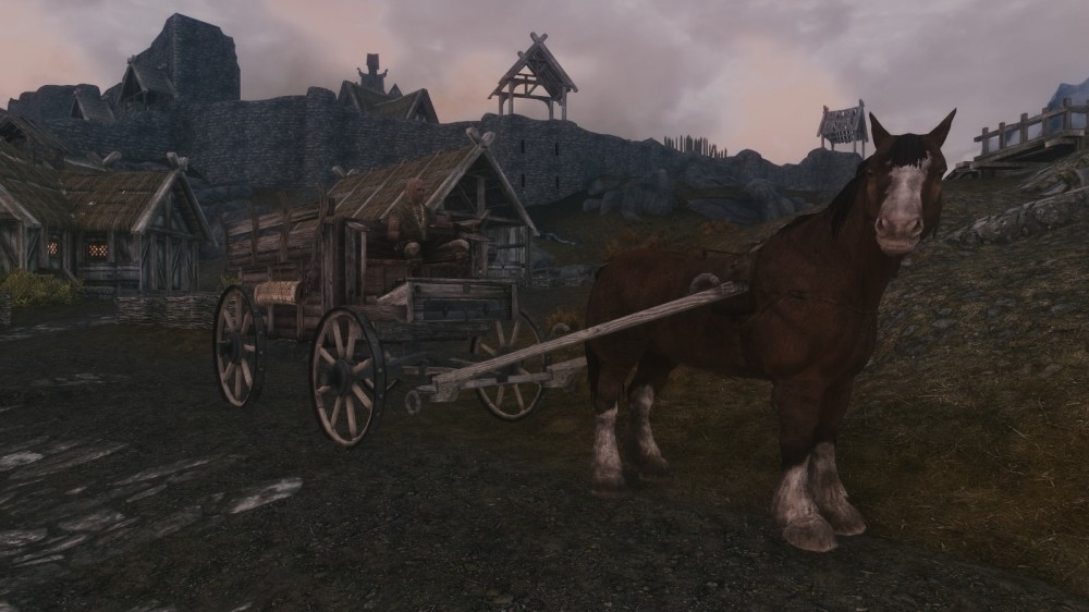 The Elder Scrolls V: Skyrim